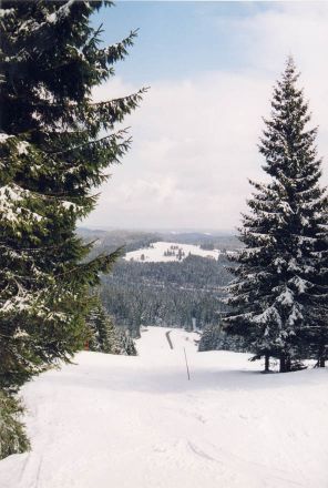 Blick vom Rohrhardsberg (Skihang)