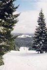 Blick vom Rohrhardsberg