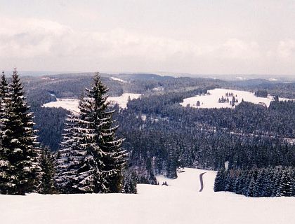 Blick vom Rohrhardsberg (Skihang)