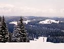 Blick vom Rohrhardsberg