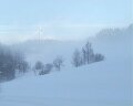 Winterimpression